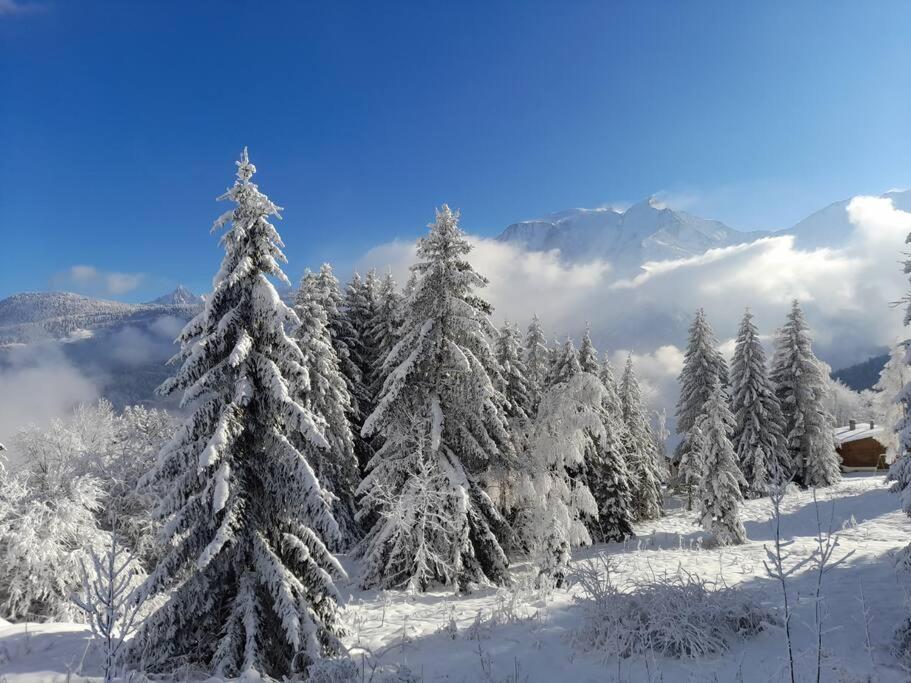 Le Cocon Du Bettex 1400 - Cozy Near Mont Blanc Apartment Saint-Gervais-les-Bains