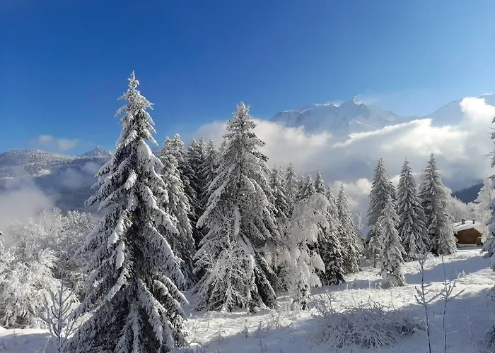 Le Cocon Du Bettex 1400 - Cozy Apt Near Mont Blanc