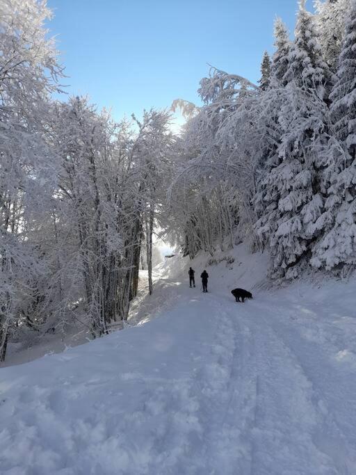 Appartement Le Cocon Du Bettex 1400 - Cozy Near Mont Blanc